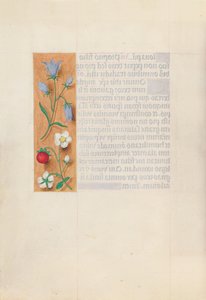 Getijdenboek van Koningin Isabella de Katholieke, Koningin van Spanje: Fol. 60v, ca. 1500 door Master of the First Prayerbook of Maximillian
