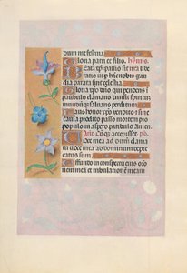 Getijdenboek van Koningin Isabella de Katholieke, Koningin van Spanje: Fol. 69v, ca. 1500 door Master of the First Prayerbook of Maximillian