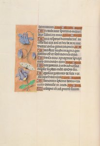 Getijdenboek van koningin Isabella de Katholieke, koningin van Spanje: Fol. 75v, ca. 1500