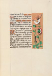 Getijdenboek van koningin Isabella de Katholieke, koningin van Spanje: Fol. 76r, ca. 1500