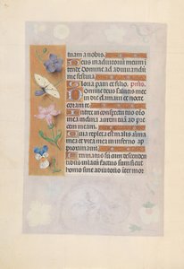 Getijdenboek van Koningin Isabella de Katholieke, Koningin van Spanje: Fol. 77v