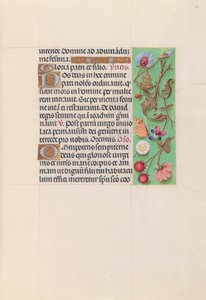 Getijdenboek van koningin Isabella de Katholieke, koningin van Spanje: Fol. 82r, ca. 1500