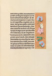 Getijdenboek van Koningin Isabella de Katholieke, Koningin van Spanje: Fol. 94r, ca. 1500