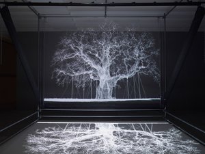 Albion, 2017 (Projector, mediaspeler, steiger, transparante film, hout, verf, spiegel, spanaccessoires) door Mat Collishaw