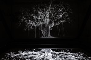 Albion, 2017 (Projector, mediaspeler, steiger, transparante film, hout, verf, spiegel, spanaccessoires) door Mat Collishaw