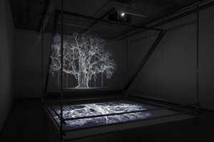 Albion, 2017 (Projector, mediaspeler, steiger, transparante film, hout, verf, spiegel, spanaccessoires) door Mat Collishaw