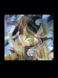 Vleesvreters 3 door Mat Collishaw