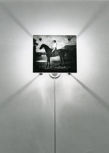 Stubbs Paarden door Mat Collishaw