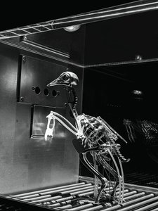The Machine Zone, 2019 (Staal, aluminium, servomotoren) door Mat Collishaw