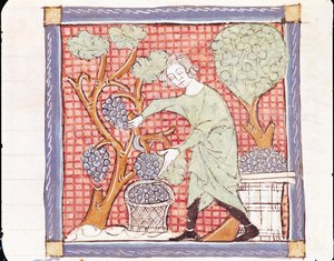 Fol.59r September: De Oogst