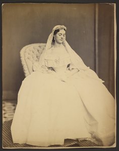  door Mathew B. Brady