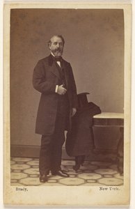  door Mathew B. Brady