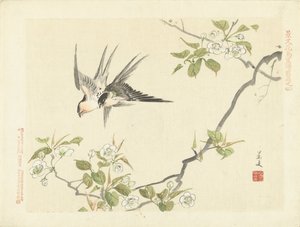 Twee zwaluwen door Matsumura Keibun
