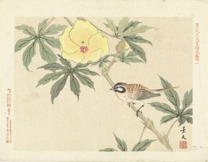 Vogel op tak met gele bloem