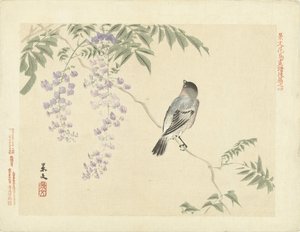 Vogel op wisteriatak door Matsumura Keibun