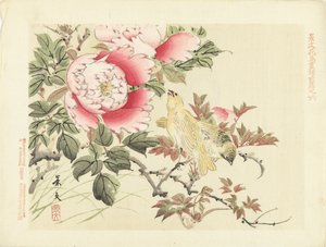 Vogels en pioenrozen Bloemen- en vogelschetsen van Keibun- deel één