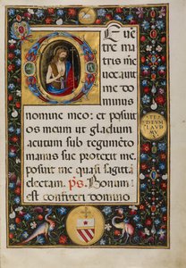 Beginletter D: Sint Johannes de Doper door Matteo da Milano