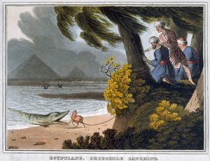Egyptenaren, krokodillen vangen