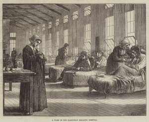 Een zaal in het Hampstead Smallpox Hospital door Matthew White Ridley