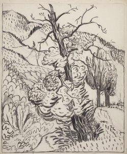 Boom op berghelling, c.1930 (penseel, inkt  houtskool op gebroken wit papier) door Maud Hunt Squire