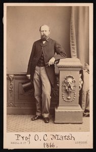 Portret van Othniel Charles Marsh 1831-1879 door Maull and Co