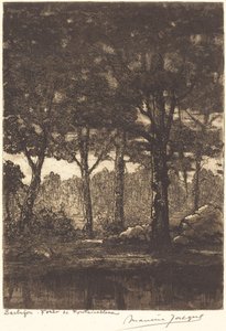 Barbizon: Bos van Fontainebleau