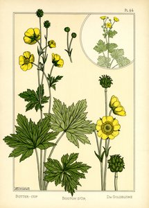 De boterbloem door Maurice Pillard Verneuil