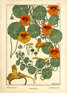 De Oost-Indische kers door Maurice Pillard Verneuil