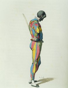 Harlekijn in 1858