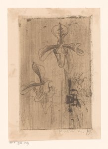 Twee orchideeën en een kar op het strand door Maurits van der Valk (signed by artist)