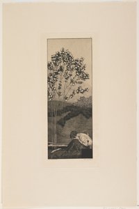 Verlangens