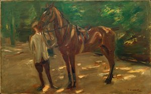 Stalknecht met paard