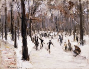 Schaatsers in de Tiergarten, Berlijn
