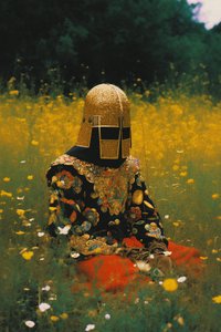 Gouden helm in een bloemenveld