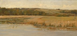 Heuvel en moeras door Max Weyl