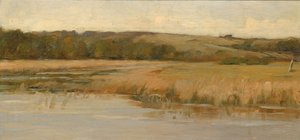 Heuvel en moerasland, eind 19e-begin 20e eeuw door Max Weyl