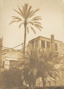 Dattiers en huis in de Franse wijk, in Caïro door Maxime Du Camp