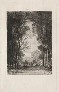 Reiziger op een Weg in een Bos