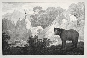 Berglandschap met beer op de voorgrond door Maximilian Josef Wagenbauer