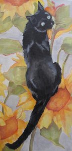 Zwarte kat tussen de zonnebloemen door Maxine Shore