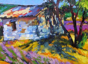 Zomer in de Provence door Maxine Shore