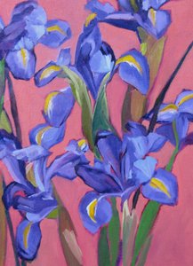 Levendige blauwe irissen