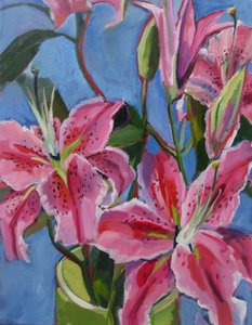 Levendige roze lelies