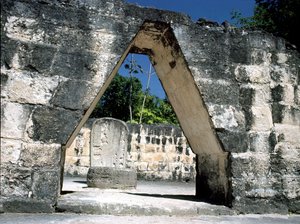 Kraagboog door Mayan