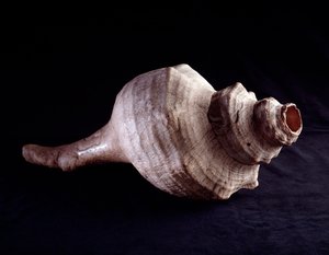 Precolumbiaanse kunst, Maya beschaving, klassieke periode: zeeschelp gebruikt als muziekinstrument (trompet). Uit Uaxactun, Guatemala. door Mayan Mayan