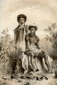 Maori