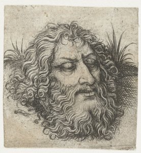 Het hoofd van Johannes de Doper of van Goliath
