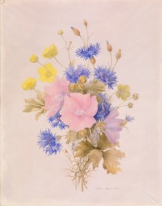Veldbloemen
