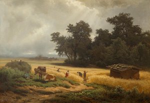 Zomerlandschap