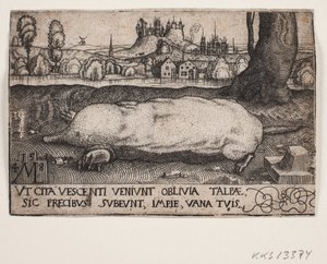 De mol